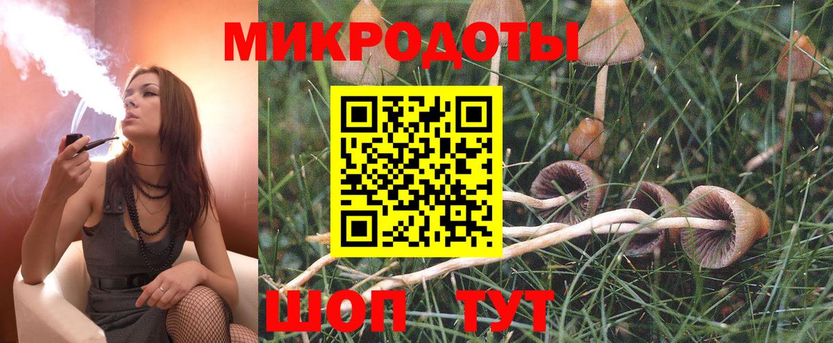 Назрань  Галлюциногенные грибы Psilocybe  Вход с VPN  Галлюциногенные грибы Cubensis 
