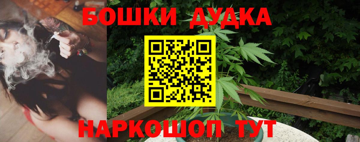 Бошки Шишки семена Назрань